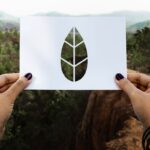 legislação ambiental terreno